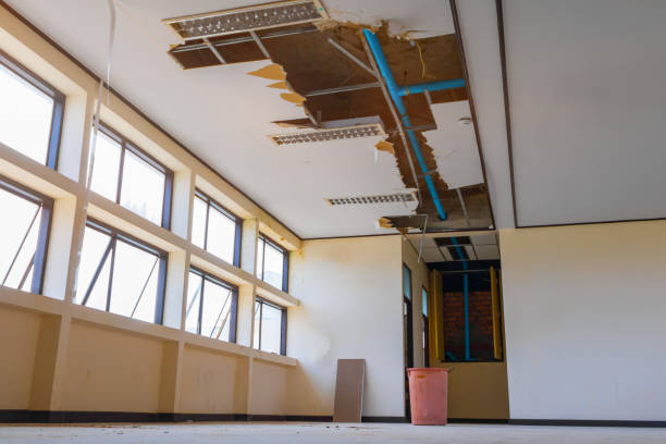 Best Fire Damage Restoration  in Jackson, SC