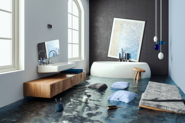 Best Flooded house restoration  in Jackson, SC