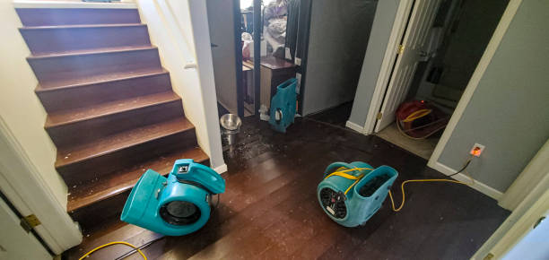 Best Carpet water damage restoration  in Jackson, SC