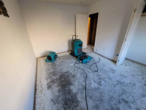 Best Ceiling water damage repair  in Jackson, SC