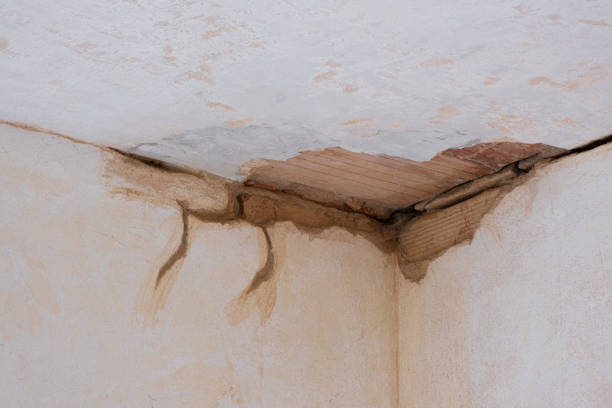 Best Commercial water damage restoration  in Jackson, SC