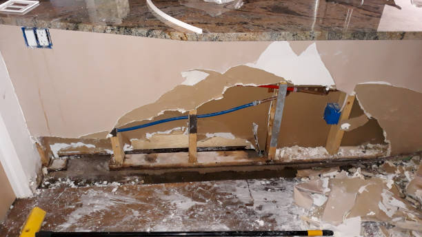 Best Flood damage cleanup  in Jackson, SC