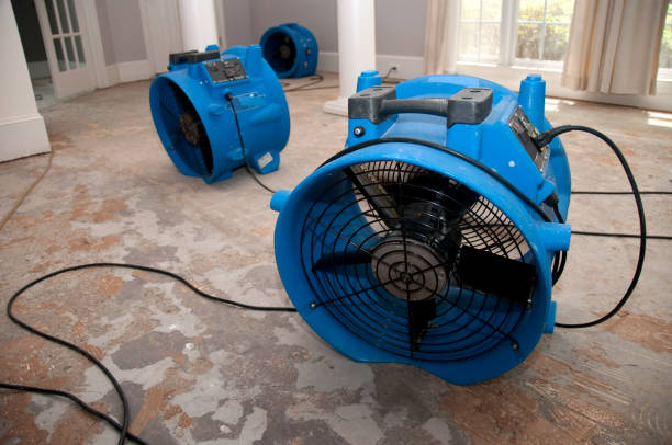 Best Flood restoration services  in Jackson, SC