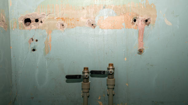 Best Water damage restoration near me  in Jackson, SC