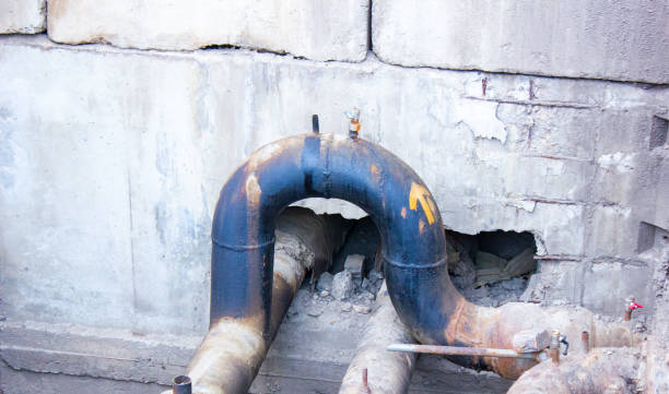 Best Basement water damage restoration  in Jackson, SC
